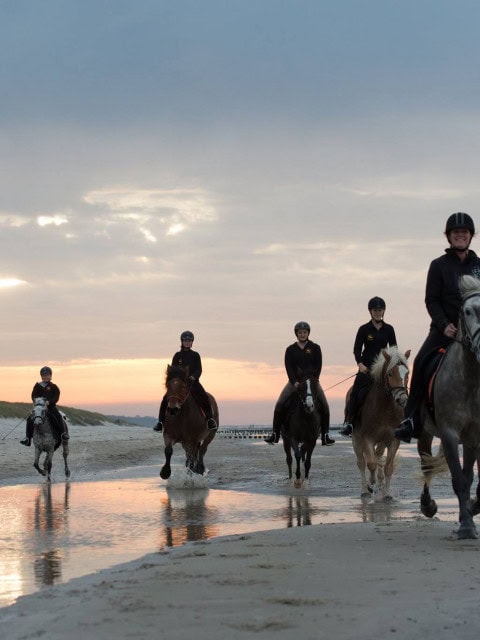 Ausritt am Strand der Ostsee im Strandhotel Fischland