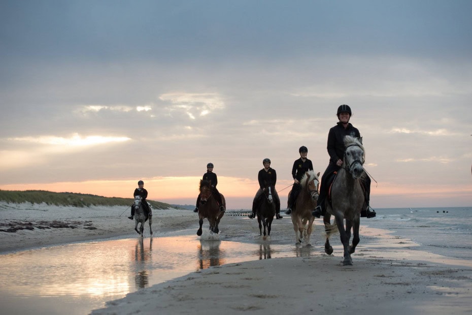 Ausritt am Strand der Ostsee im Strandhotel Fischland