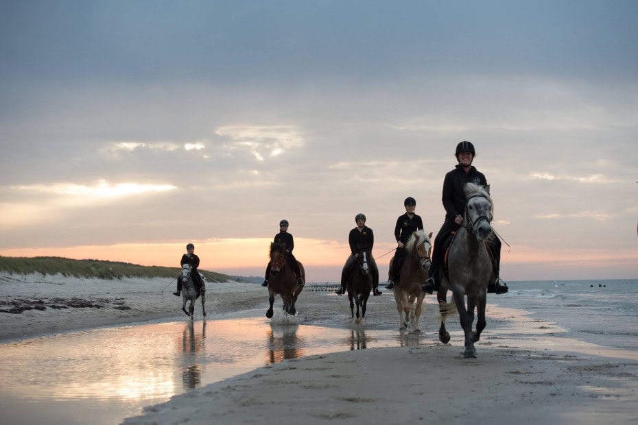 Ausritt am Strand der Ostsee im Strandhotel Fischland