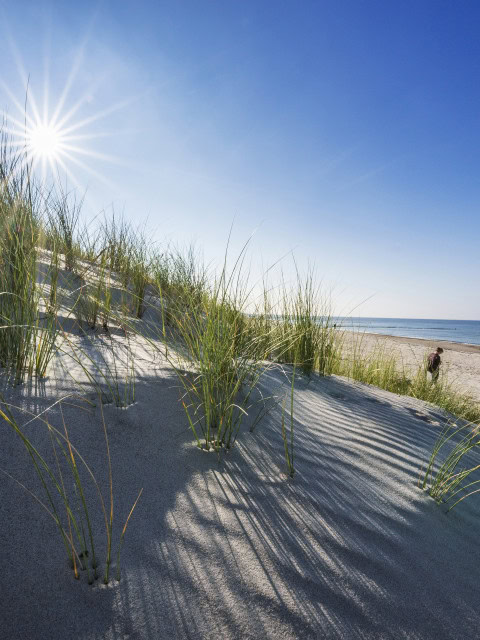 Ostsee und Strand bei Sonnenschein