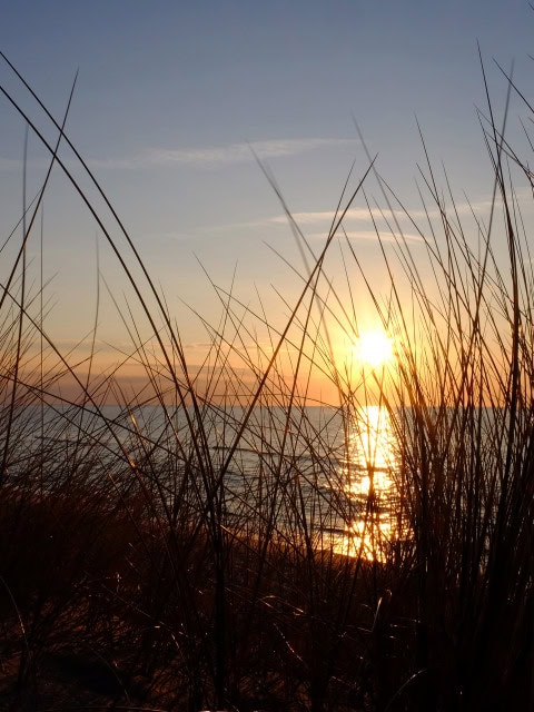 Dünengras, Ostsee und Sonnenuntergang vorm Strandhotel Fischland
