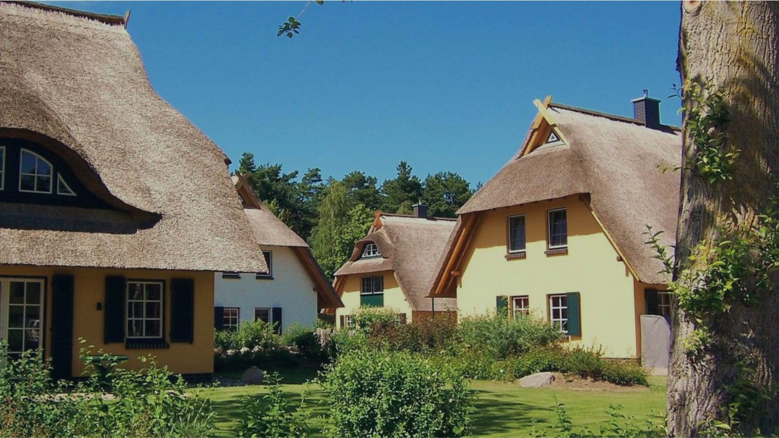 Ferienwohnungen und Ferienhäuser des Strandhotel Fischlands