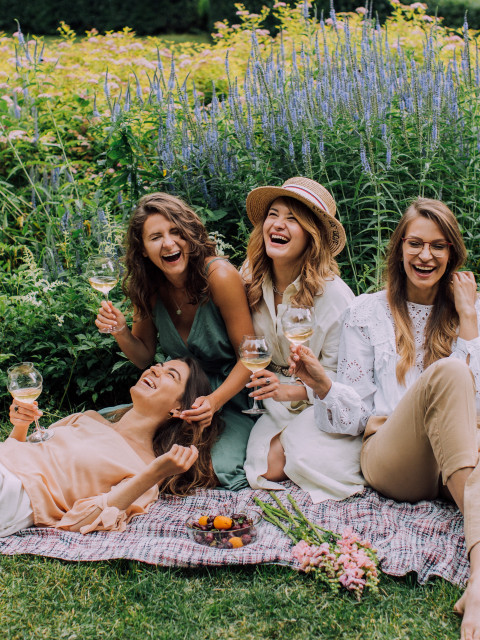 Frauen beim Picknick mit Wein und Früchten