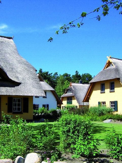 Küstenwaldvillen des Strandhotel Fischlands