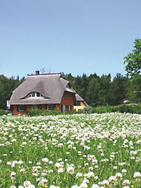 Ferienhäuser des Strandhotel Fischlands