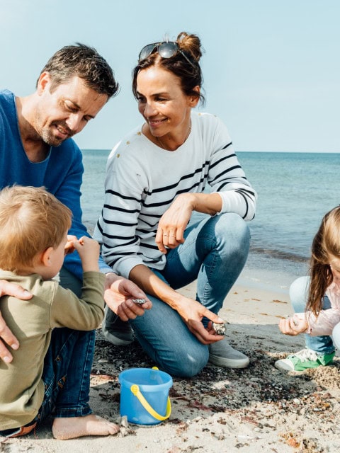 Familie sammelt Muscheln und Steine am Ostseestrand