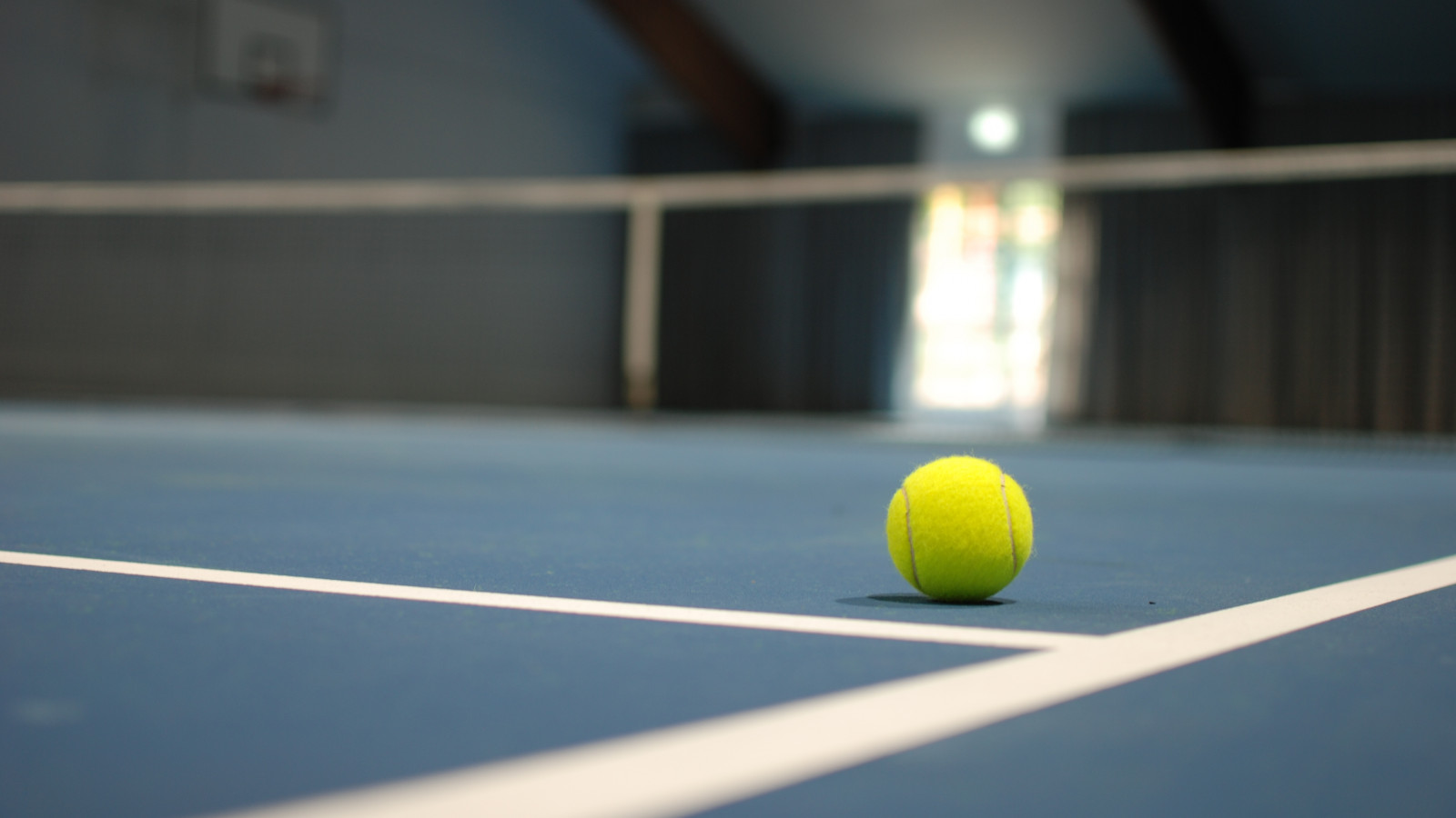 Tennisball in der Tennishalle im Strandhotel Fischland
