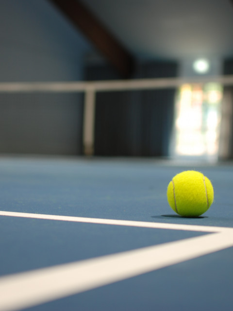 Tennisball in der Tennishalle im Strandhotel Fischland