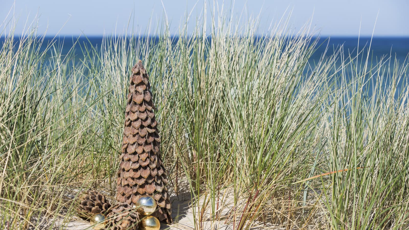 Weihnachten in den Dünen des Strandhotel Fischlands