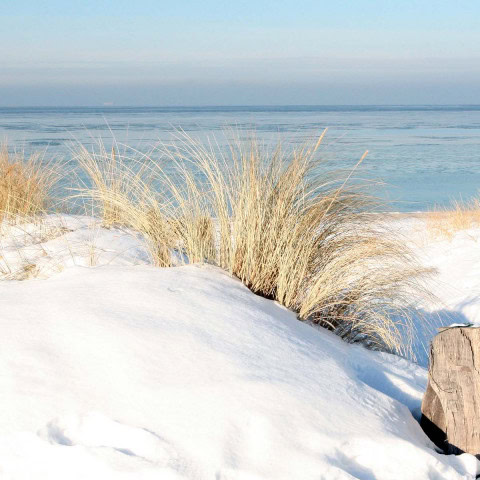 Düne und Ostsee beim Strandhotel Fischland