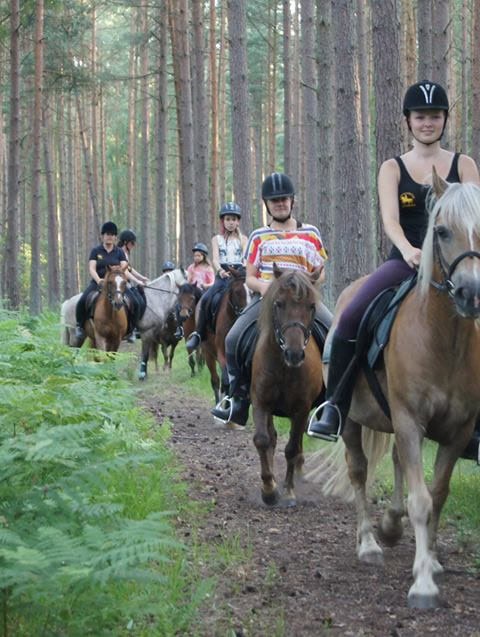 Mädchen und junge Frauen beim Ausritt im Küstenwald des Strandhotel Fischlands