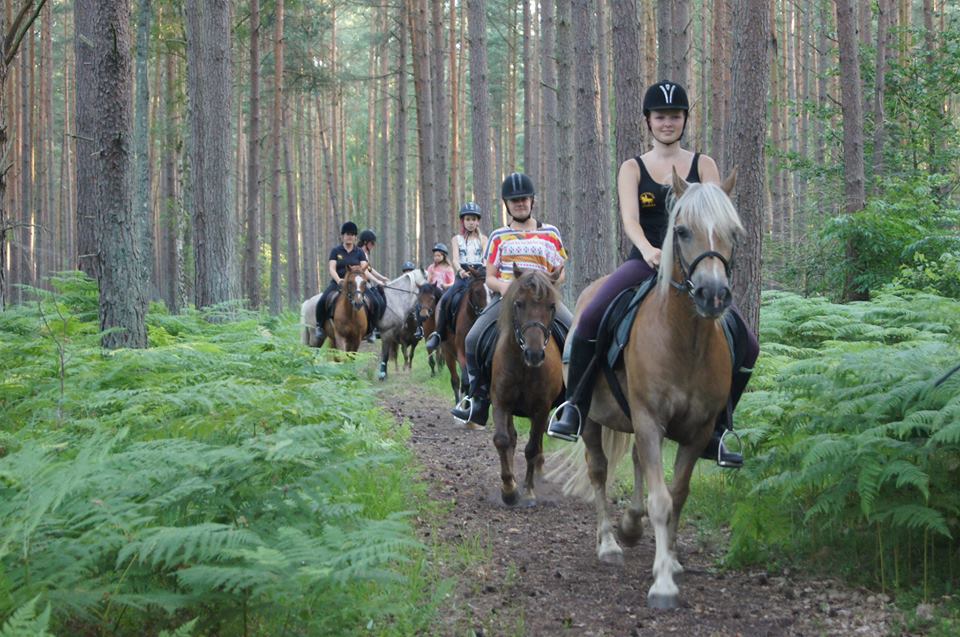 Mädchen und junge Frauen beim Ausritt im Küstenwald des Strandhotel Fischlands