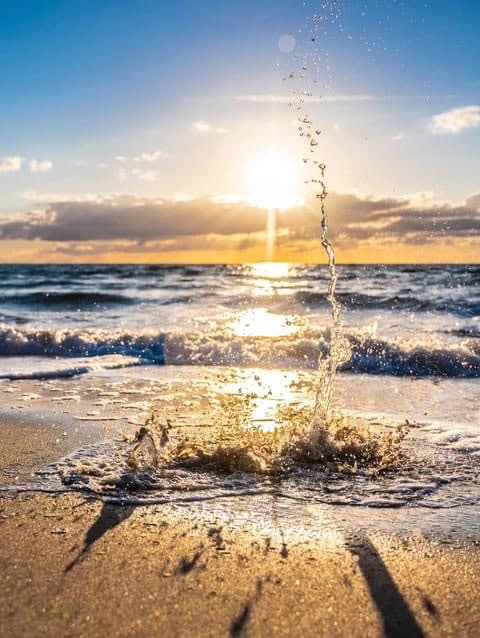 Ostsee und Buhnen bei Sonnenuntergang