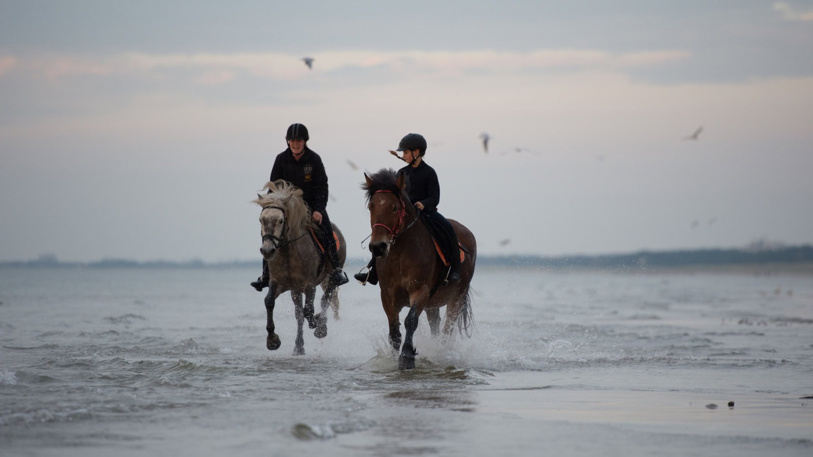 Ausritt am Ostseestrand im Strandhotel Fischland