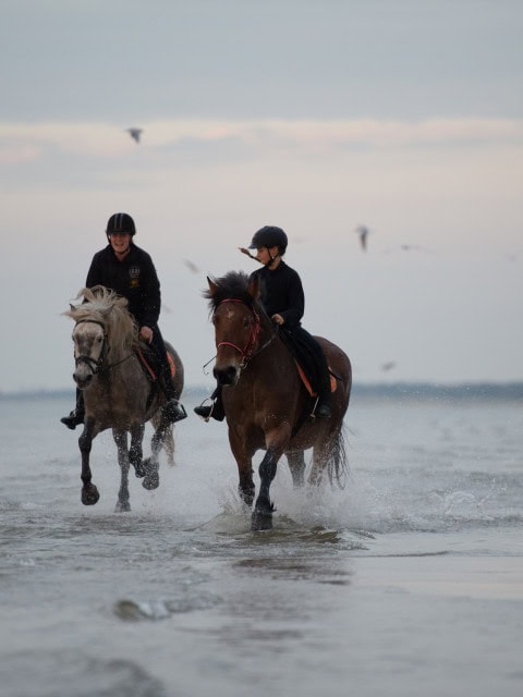 Ausritt am Ostseestrand im Strandhotel Fischland