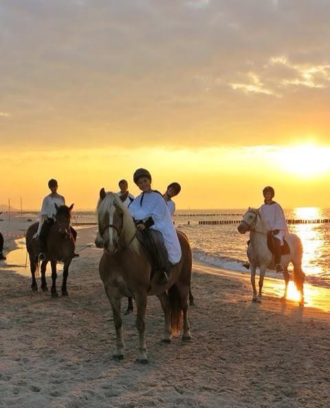 Reiterin mit Pferd beim Springreiten im Strandhotel Fischland