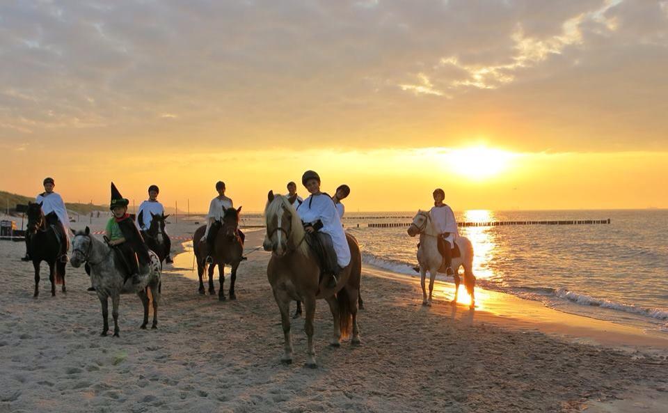 Reiterin mit Pferd beim Springreiten im Strandhotel Fischland