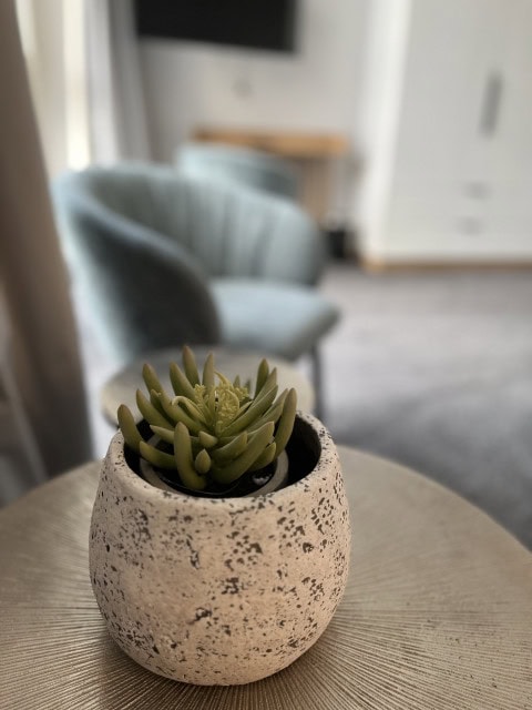 Sukkulente in der Meerblick-Suite im Strandhotel Fischland