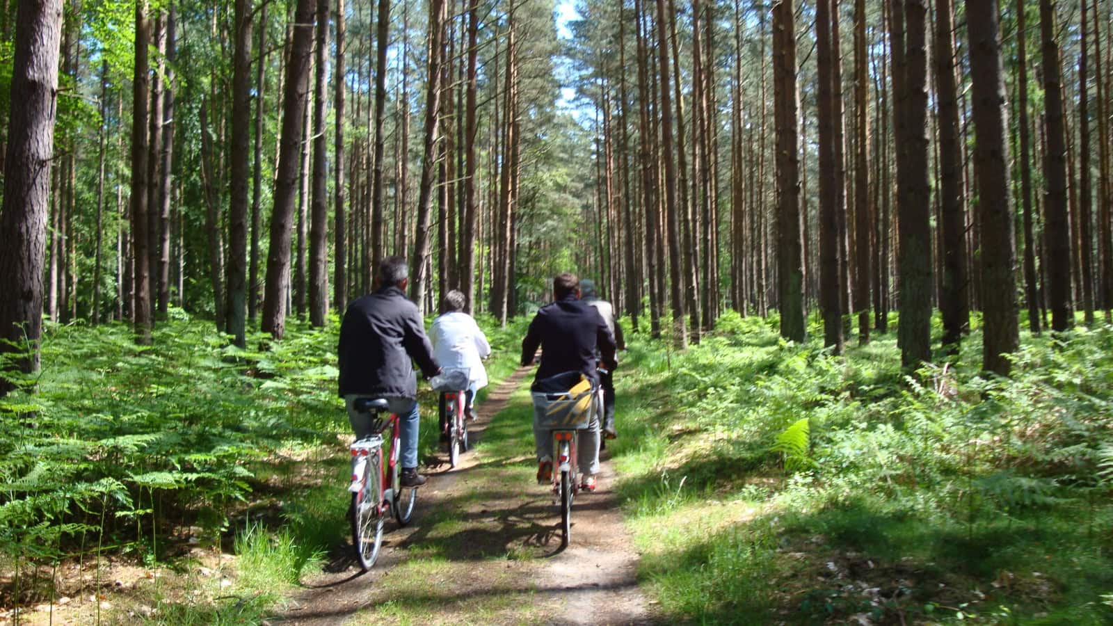 Radtour durch das Ribnitzer Moor mit Fahrrädern des Strandhotel Dünenmeers