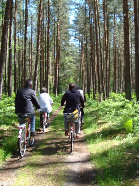 Radtour durch das Ribnitzer Moor mit Fahrrädern des Strandhotel Dünenmeers