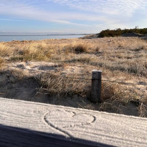 Dünen und Ostsee beim Strandhotel Fischland