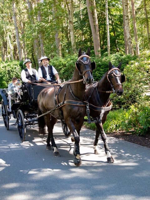 Kutsche mit Pferden, Kutschern und Brautpaar vor dem Strandhotel Fischland