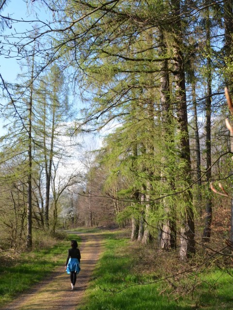 Waldbaden - Frau läuft in das Ribnitzer Moor