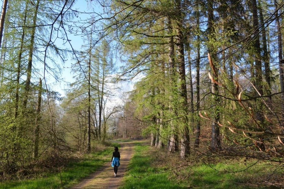 Waldbaden - Frau läuft in das Ribnitzer Moor