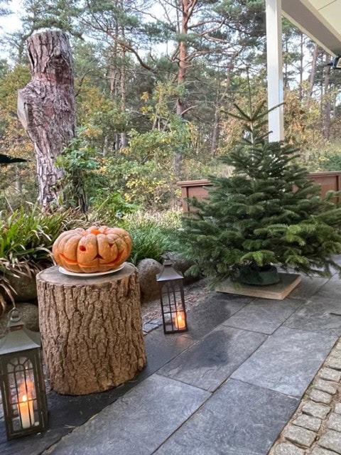 Halloweenkürbisse im Kerzenschein im Strandhotel Fischland