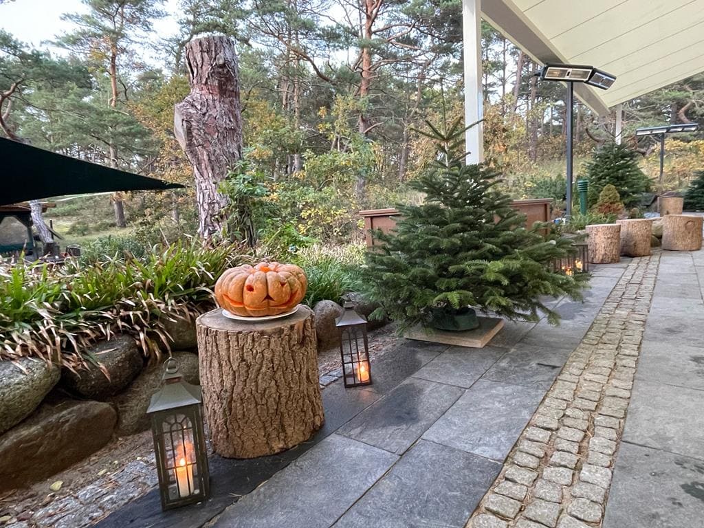 Halloweenkürbisse im Kerzenschein im Strandhotel Fischland