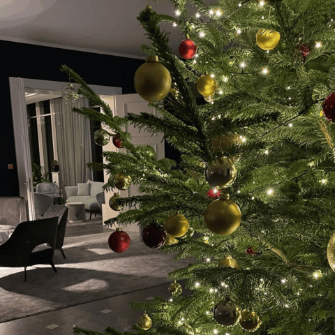 Weihnachten im Strandhotel Fischland