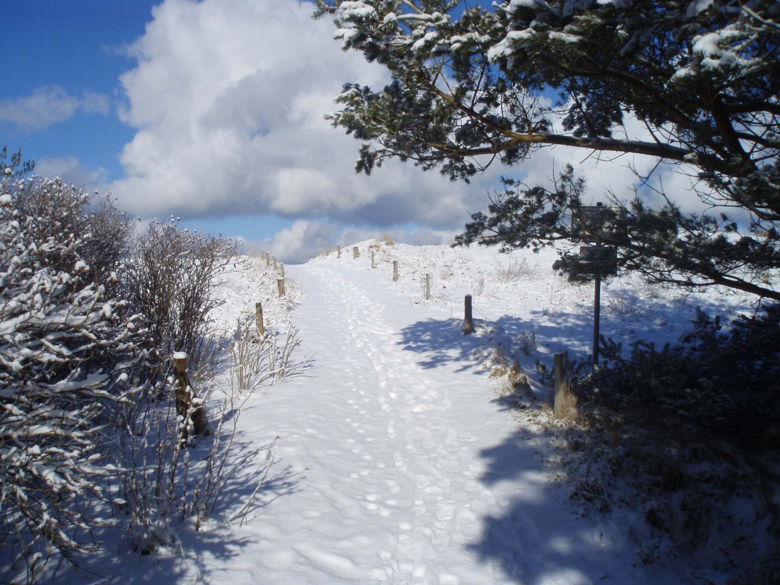 Winter welt an der Ostsee